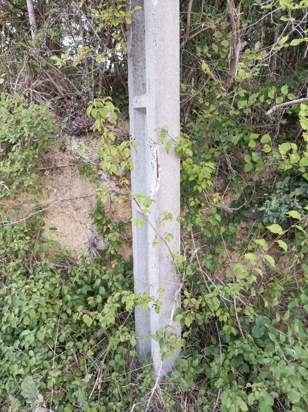 Voirie - Chemin d'accès à Lieoux